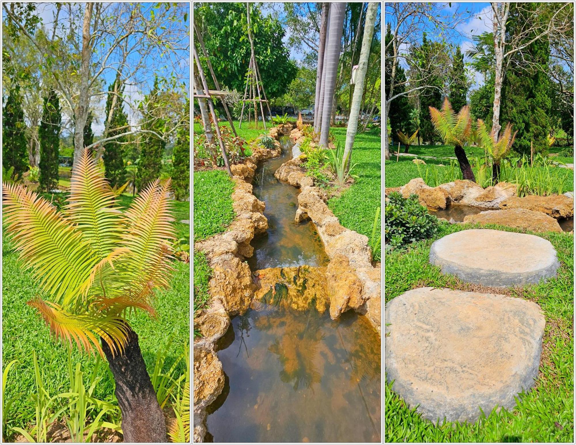 Homdoiintr Farmstay ฮ่อมดอยอินทร์ ฟาร์มสเตย์ Ban Huai Kaeo Extérieur photo