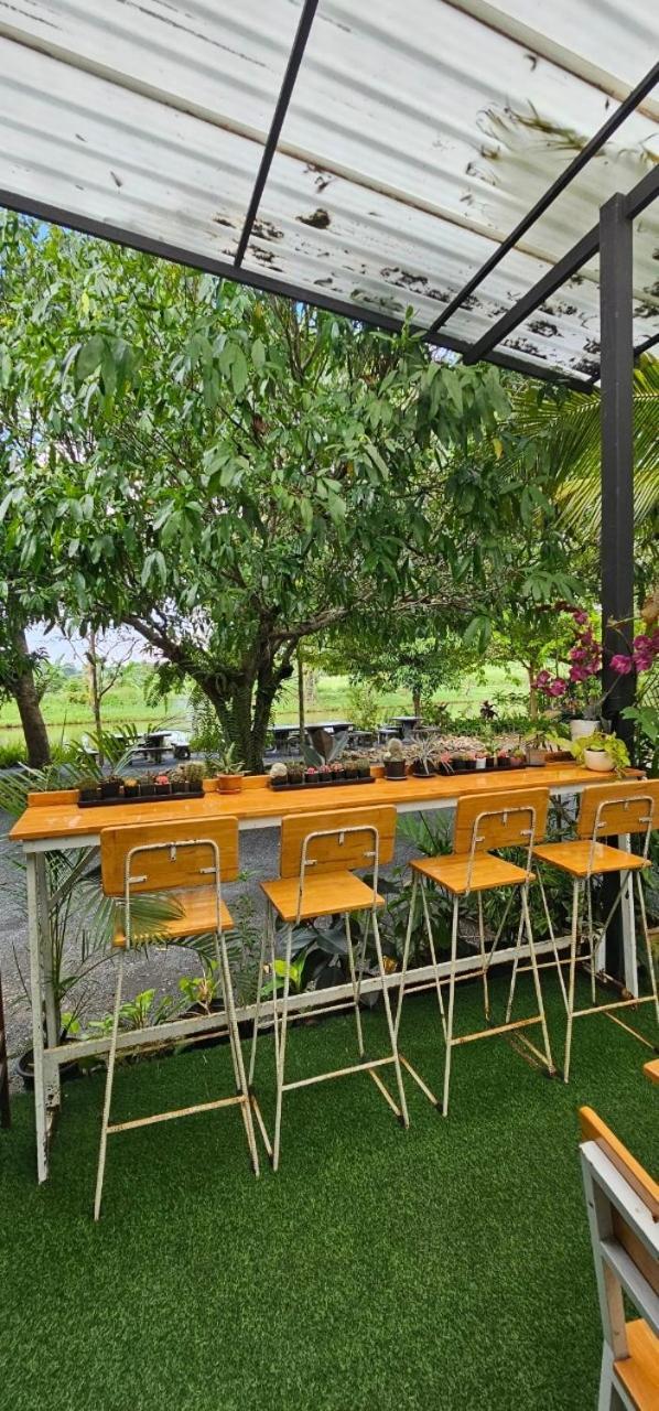 Homdoiintr Farmstay ฮ่อมดอยอินทร์ ฟาร์มสเตย์ Ban Huai Kaeo Extérieur photo