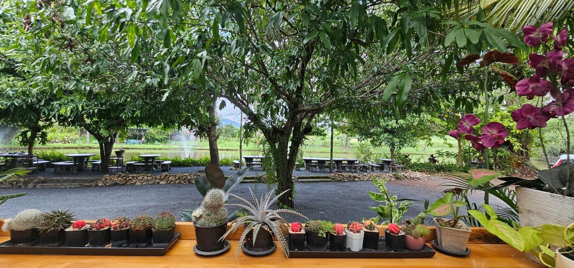Homdoiintr Farmstay ฮ่อมดอยอินทร์ ฟาร์มสเตย์ Ban Huai Kaeo Extérieur photo