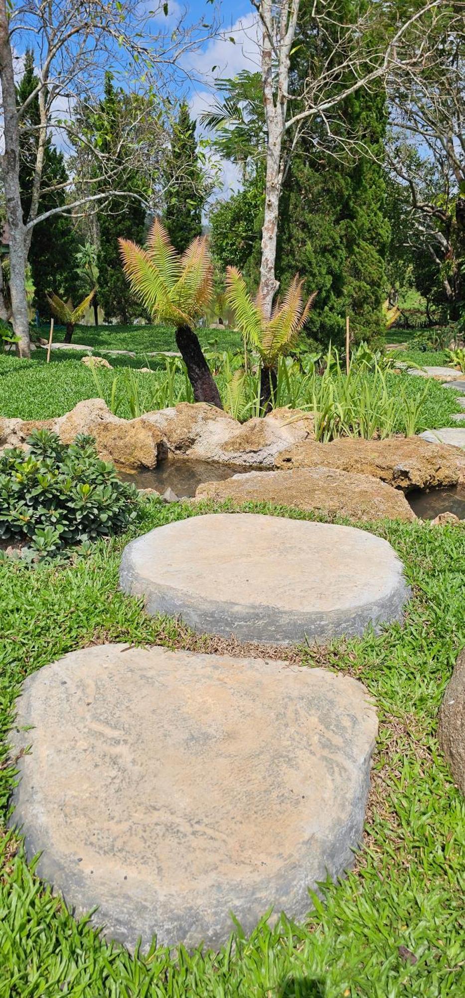 Homdoiintr Farmstay ฮ่อมดอยอินทร์ ฟาร์มสเตย์ Ban Huai Kaeo Extérieur photo