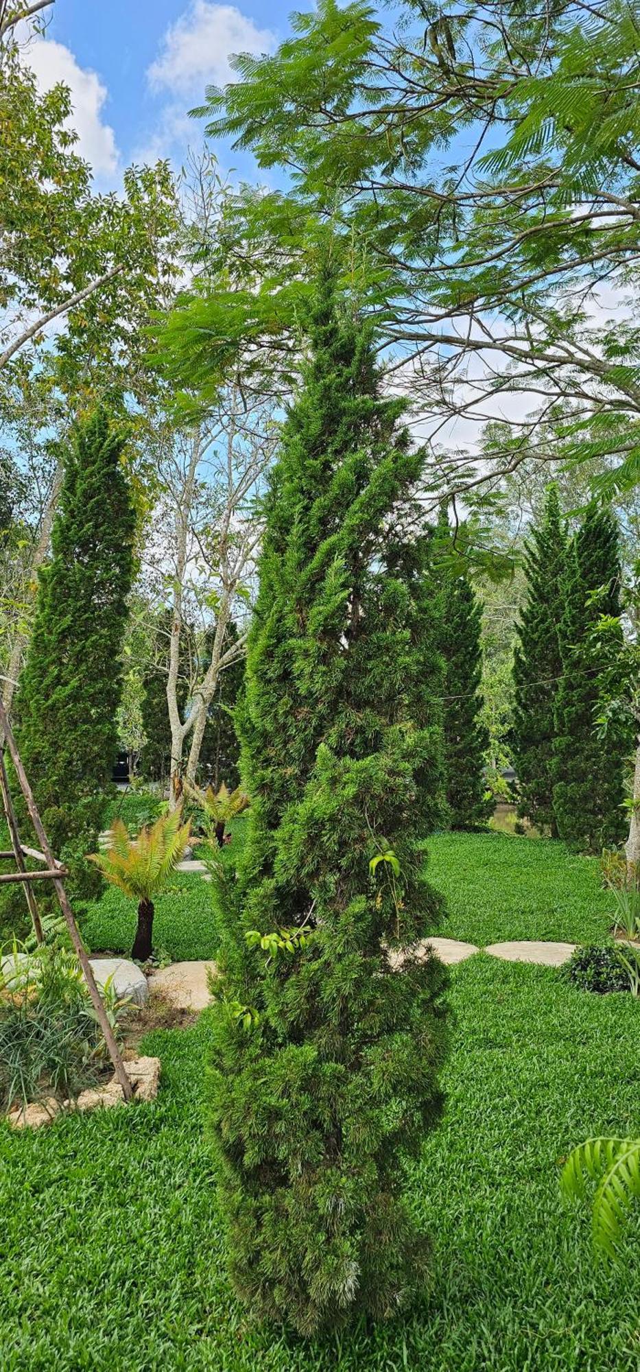 Homdoiintr Farmstay ฮ่อมดอยอินทร์ ฟาร์มสเตย์ Ban Huai Kaeo Extérieur photo