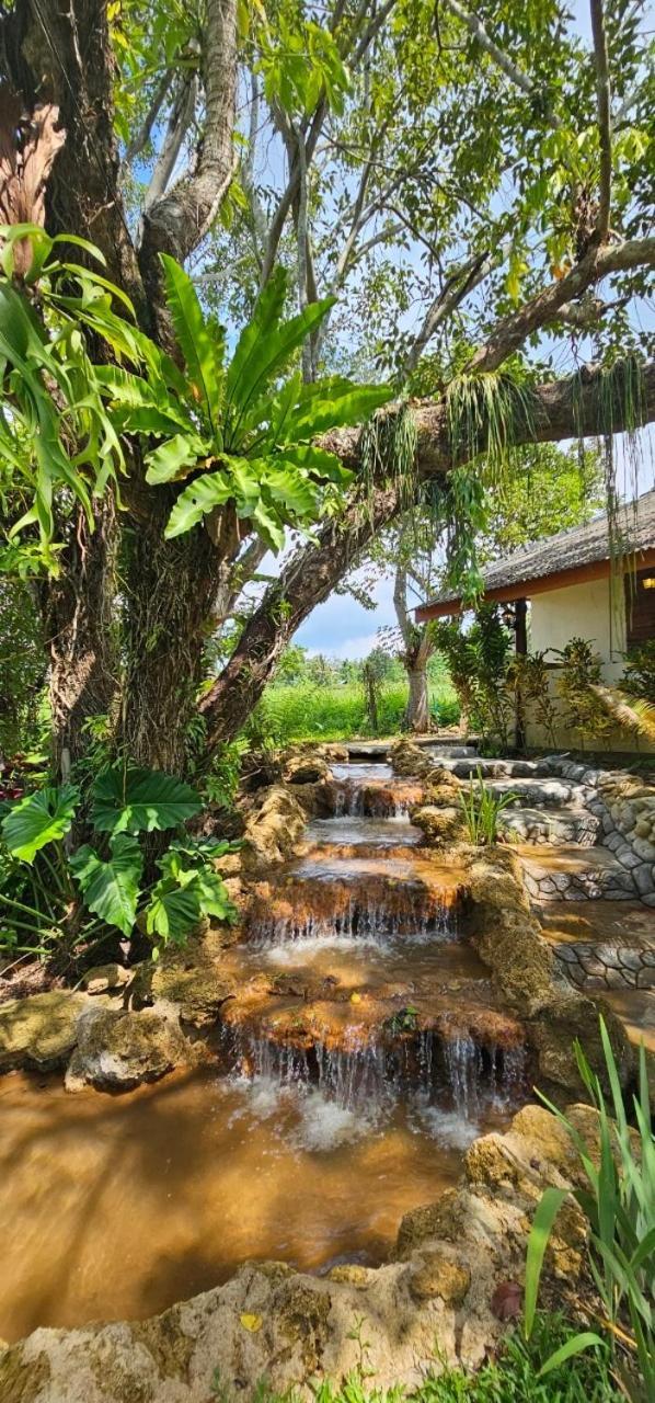 Homdoiintr Farmstay ฮ่อมดอยอินทร์ ฟาร์มสเตย์ Ban Huai Kaeo Extérieur photo