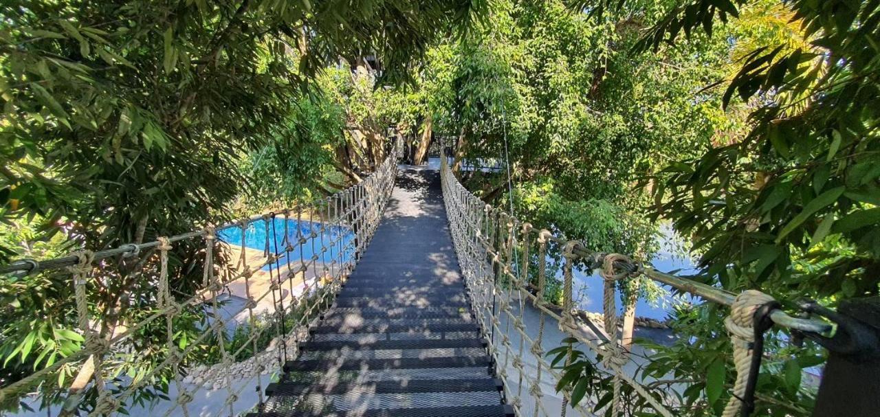 Homdoiintr Farmstay ฮ่อมดอยอินทร์ ฟาร์มสเตย์ Ban Huai Kaeo Extérieur photo