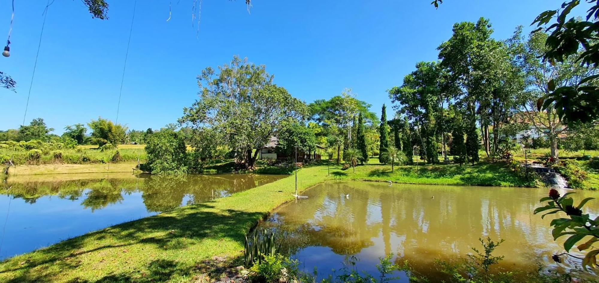 Homdoiintr Farmstay ฮ่อมดอยอินทร์ ฟาร์มสเตย์ Ban Huai Kaeo Extérieur photo